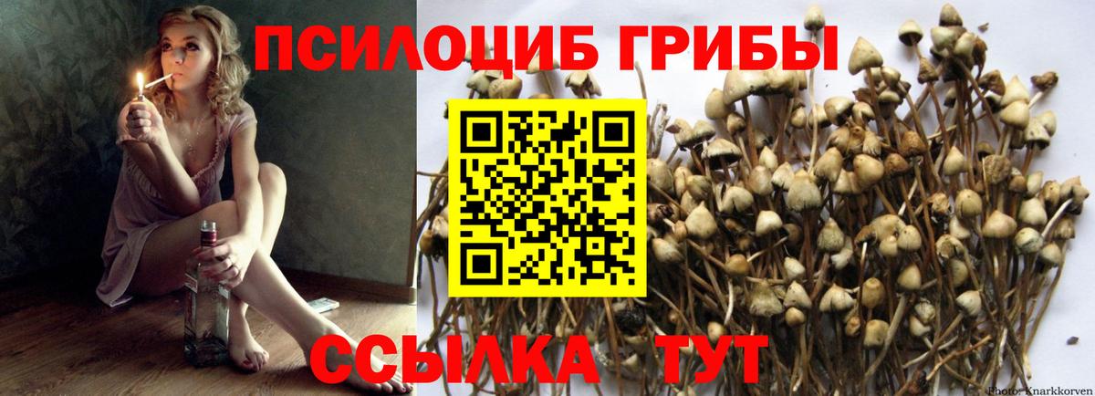 Галлюциногенные грибы Psilocybine cubensis  Псилоцибиновые грибы Magic Shrooms  Вход с VPN  Королёв 
