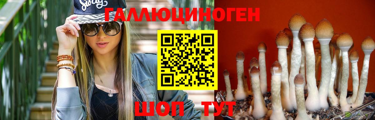 Галлюциногенные грибы GOLDEN TEACHER Королёв